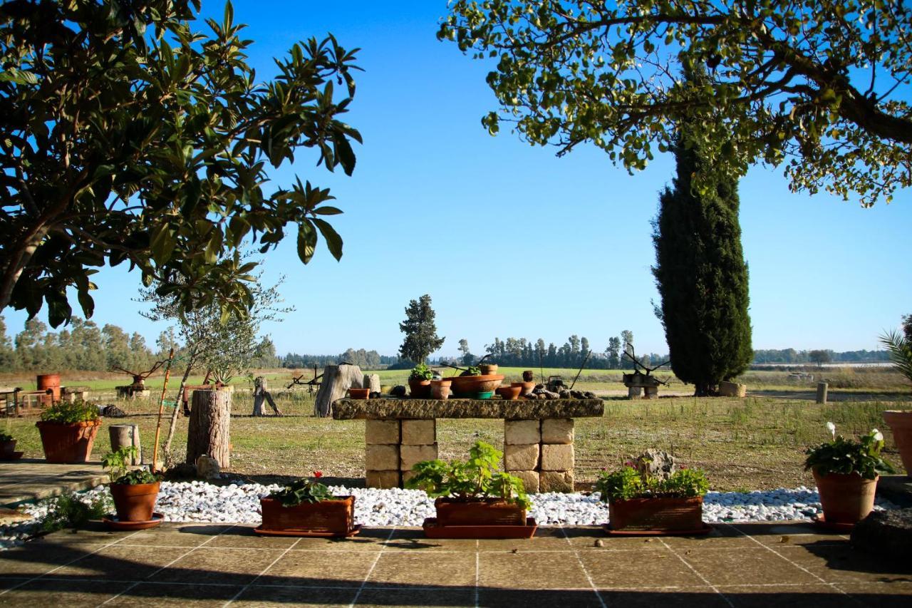Maison Catalano * Castellaneta Marina